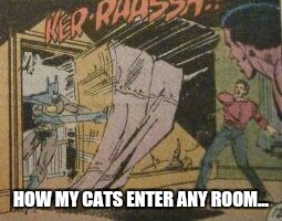 My cats have no respect | HOW MY CATS ENTER ANY ROOM... | image tagged in batman | made w/ Imgflip meme maker