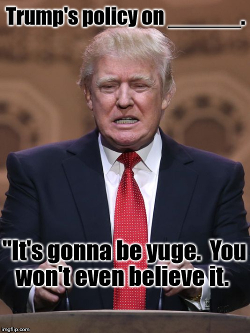 Is Trump's hair "scumbag hair"? | Trump's policy on ______. "It's gonna be yuge.  You won't even believe it. | image tagged in donald trump,huge,president,idiot | made w/ Imgflip meme maker