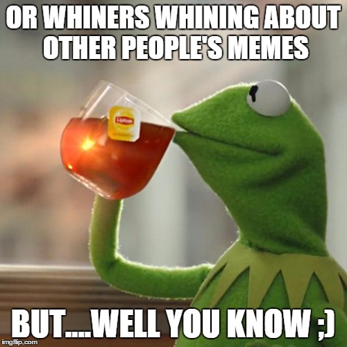 But That's None Of My Business Meme | OR WHINERS WHINING ABOUT OTHER PEOPLE'S MEMES BUT....WELL YOU KNOW ;) | image tagged in memes,but thats none of my business,kermit the frog | made w/ Imgflip meme maker