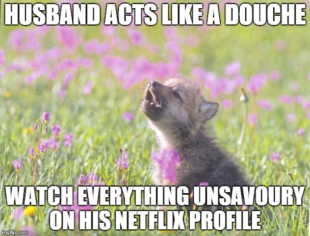 Baby Insanity Wolf Meme | HUSBAND ACTS LIKE A DOUCHE; WATCH EVERYTHING UNSAVOURY ON HIS NETFLIX PROFILE | image tagged in memes,baby insanity wolf,AdviceAnimals | made w/ Imgflip meme maker