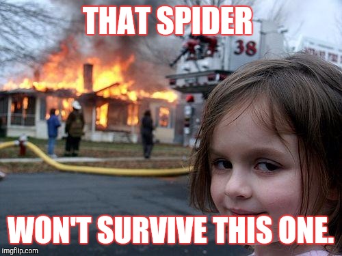 Disaster Girl | THAT SPIDER; WON'T SURVIVE THIS ONE. | image tagged in memes,disaster girl | made w/ Imgflip meme maker