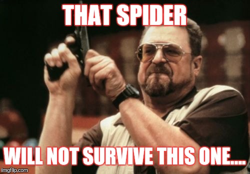 Am I The Only One Around Here Meme | THAT SPIDER; WILL NOT SURVIVE THIS ONE.... | image tagged in memes,am i the only one around here | made w/ Imgflip meme maker
