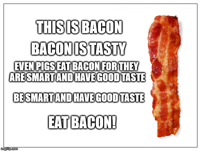 This is bacon | THIS IS BACON; BACON IS TASTY; EVEN PIGS EAT BACON FOR THEY ARE SMART AND HAVE GOOD TASTE; BE SMART AND HAVE GOOD TASTE; EAT BACON! | image tagged in this is bacon | made w/ Imgflip meme maker