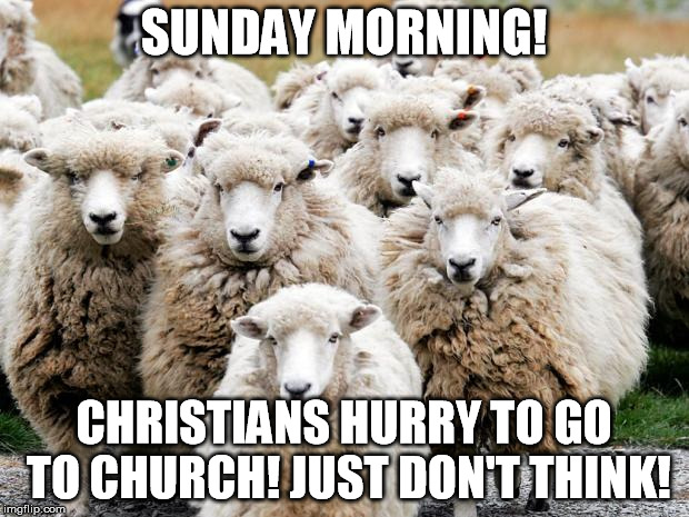 Sheeps | SUNDAY MORNING! CHRISTIANS HURRY TO GO TO CHURCH! JUST DON'T THINK! | image tagged in sheeps | made w/ Imgflip meme maker