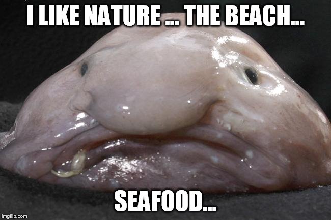 I LIKE NATURE ... THE BEACH... SEAFOOD... | made w/ Imgflip meme maker