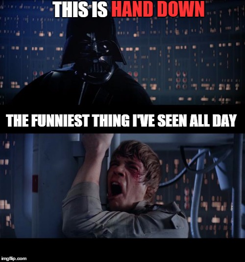 Darth Humor | THIS IS; HAND DOWN; THE FUNNIEST THING I'VE SEEN ALL DAY | image tagged in memes,star wars no,lol,funny,funny memes,wrong | made w/ Imgflip meme maker