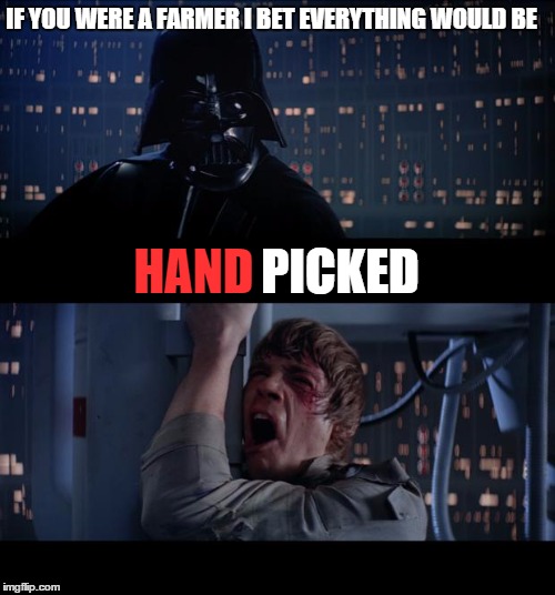 Darth Farmer | IF YOU WERE A FARMER I BET EVERYTHING WOULD BE; HAND; PICKED | image tagged in memes,star wars no,lol,funny,funny memes,wrong | made w/ Imgflip meme maker