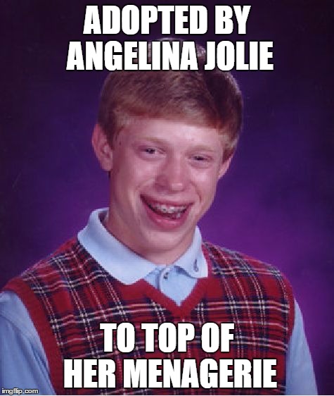 Bad Luck Brian | ADOPTED BY ANGELINA JOLIE; TO TOP OF HER MENAGERIE | image tagged in memes,bad luck brian | made w/ Imgflip meme maker