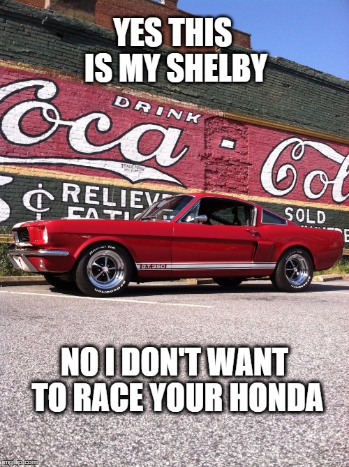 muscle vs rice | YES THIS IS MY SHELBY; NO I DON'T WANT TO RACE YOUR HONDA | image tagged in mustang,honda,because race car | made w/ Imgflip meme maker