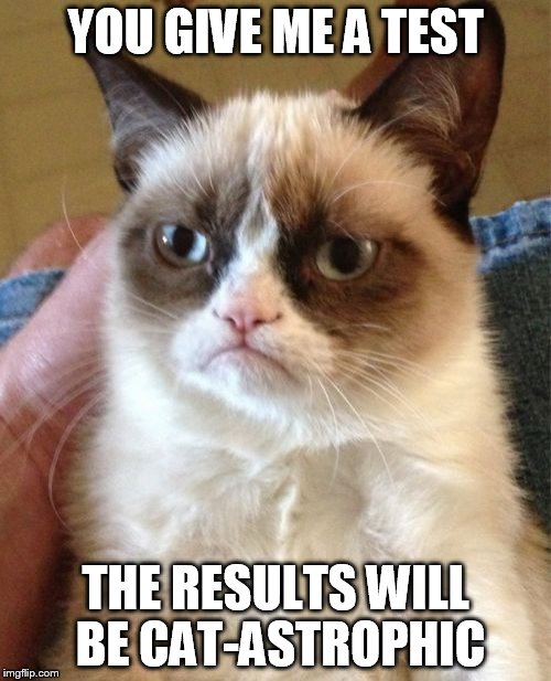 Grumpy Cat | YOU GIVE ME A TEST; THE RESULTS WILL BE CAT-ASTROPHIC | image tagged in memes,grumpy cat | made w/ Imgflip meme maker