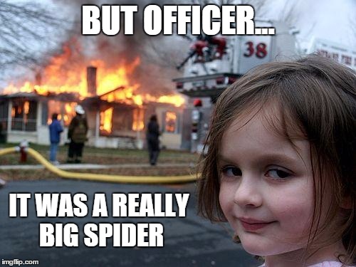 It Was This Big! | BUT OFFICER... IT WAS A REALLY BIG SPIDER | image tagged in memes,disaster girl,spiders | made w/ Imgflip meme maker