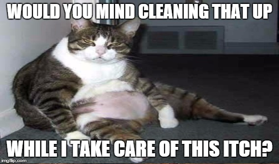 WOULD YOU MIND CLEANING THAT UP WHILE I TAKE CARE OF THIS ITCH? | made w/ Imgflip meme maker