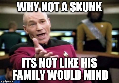 Picard Wtf Meme | WHY NOT A SKUNK ITS NOT LIKE HIS FAMILY WOULD MIND | image tagged in memes,picard wtf | made w/ Imgflip meme maker