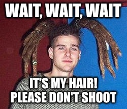 Spider Man | WAIT, WAIT, WAIT IT'S MY HAIR! PLEASE DON'T SHOOT | image tagged in spider man | made w/ Imgflip meme maker