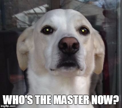 tegan | WHO'S THE MASTER NOW? | image tagged in tegan | made w/ Imgflip meme maker