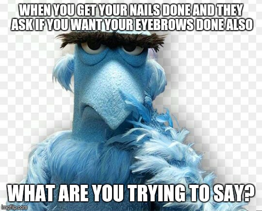 WHEN YOU GET YOUR NAILS DONE AND THEY ASK IF YOU WANT YOUR EYEBROWS DONE ALSO; WHAT ARE YOU TRYING TO SAY? | image tagged in eagle | made w/ Imgflip meme maker