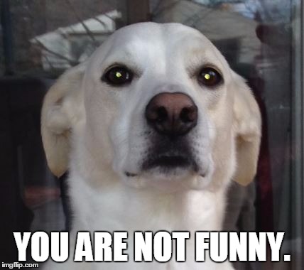 YOU ARE NOT FUNNY. | image tagged in tegan | made w/ Imgflip meme maker