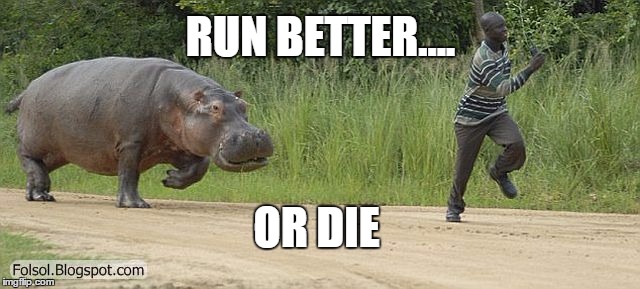 Hippo chasing man | RUN BETTER.... OR DIE | image tagged in hippo chasing man | made w/ Imgflip meme maker