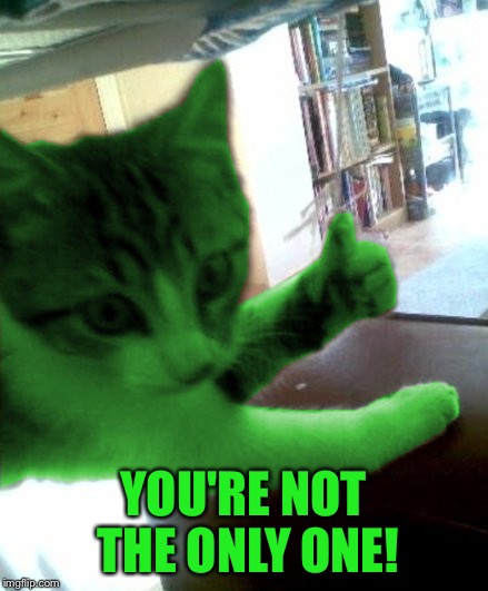 thumbs up RayCat | YOU'RE NOT THE ONLY ONE! | image tagged in thumbs up raycat | made w/ Imgflip meme maker