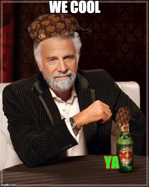 The Most Interesting Man In The World Meme | WE COOL; YA | image tagged in memes,the most interesting man in the world,scumbag | made w/ Imgflip meme maker