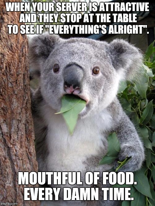 Koala dining | WHEN YOUR SERVER IS ATTRACTIVE AND THEY STOP AT THE TABLE TO SEE IF "EVERYTHING'S ALRIGHT". MOUTHFUL OF FOOD. EVERY DAMN TIME. | image tagged in koala | made w/ Imgflip meme maker