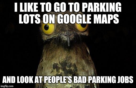 Weird Stuff I Do Potoo Meme | I LIKE TO GO TO PARKING LOTS ON GOOGLE MAPS; AND LOOK AT PEOPLE'S BAD PARKING JOBS | image tagged in memes,weird stuff i do potoo | made w/ Imgflip meme maker