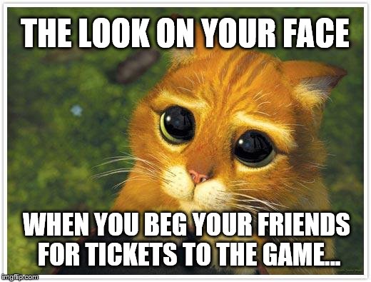 Shrek Cat Meme | THE LOOK ON YOUR FACE; WHEN YOU BEG YOUR FRIENDS FOR TICKETS TO THE GAME... | image tagged in memes,shrek cat | made w/ Imgflip meme maker
