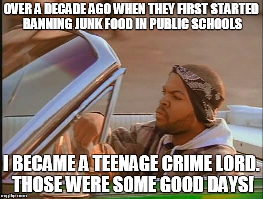 Today was a good day | OVER A DECADE AGO WHEN THEY FIRST STARTED BANNING JUNK FOOD IN PUBLIC SCHOOLS; I BECAME A TEENAGE CRIME LORD. THOSE WERE SOME GOOD DAYS! | image tagged in today was a good day | made w/ Imgflip meme maker