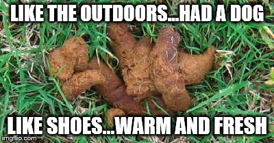 LIKE THE OUTDOORS...HAD A DOG LIKE SHOES...WARM AND FRESH | made w/ Imgflip meme maker