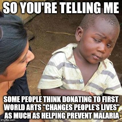 Third World Skeptical Kid Meme | SO YOU'RE TELLING ME; SOME PEOPLE THINK DONATING TO FIRST WORLD ARTS "CHANGES PEOPLE'S LIVES" AS MUCH AS HELPING PREVENT MALARIA | image tagged in memes,third world skeptical kid,AdviceAnimals | made w/ Imgflip meme maker
