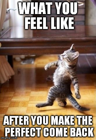 Cool Cat Stroll Meme | WHAT YOU FEEL LIKE; AFTER YOU MAKE THE PERFECT COME BACK | image tagged in memes,cool cat stroll | made w/ Imgflip meme maker