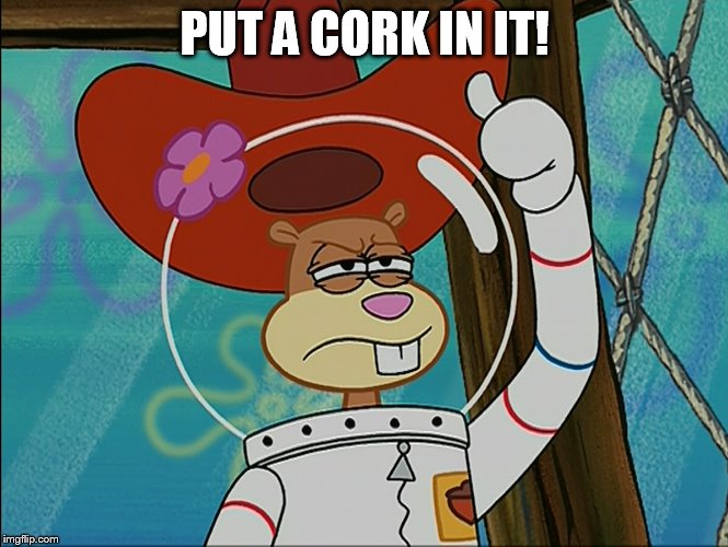 Sandy Cheeks - Put A Cork In It! | PUT A CORK IN IT! | image tagged in sandy cheeks,memes,spongebob squarepants,sandy cheeks cowboy hat,insult,texas girl | made w/ Imgflip meme maker