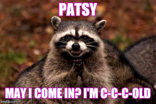 Evil Plotting Raccoon Meme | PATSY; MAY I COME IN? I'M C-C-C-OLD | image tagged in memes,evil plotting raccoon | made w/ Imgflip meme maker