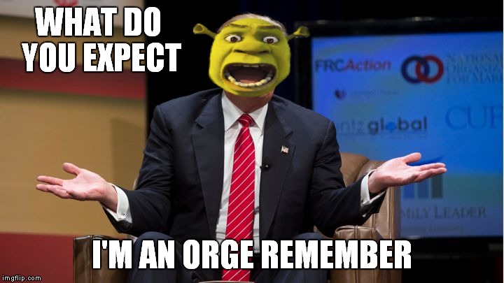 WHAT DO YOU EXPECT I'M AN ORGE REMEMBER | made w/ Imgflip meme maker