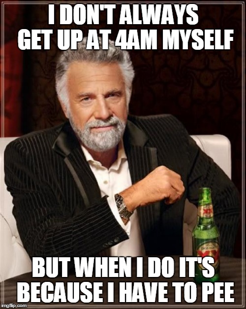 The Most Interesting Man In The World Meme | I DON'T ALWAYS GET UP AT 4AM MYSELF BUT WHEN I DO IT'S BECAUSE I HAVE TO PEE | image tagged in memes,the most interesting man in the world | made w/ Imgflip meme maker