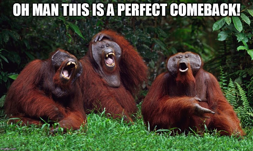 laughing orangutans | OH MAN THIS IS A PERFECT COMEBACK! | image tagged in laughing orangutans | made w/ Imgflip meme maker