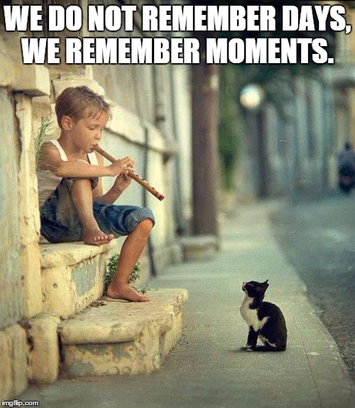 We do not remember days, we remember moments.  | WE DO NOT REMEMBER DAYS, WE REMEMBER MOMENTS. | image tagged in we do not remember days we remember moments.  | made w/ Imgflip meme maker