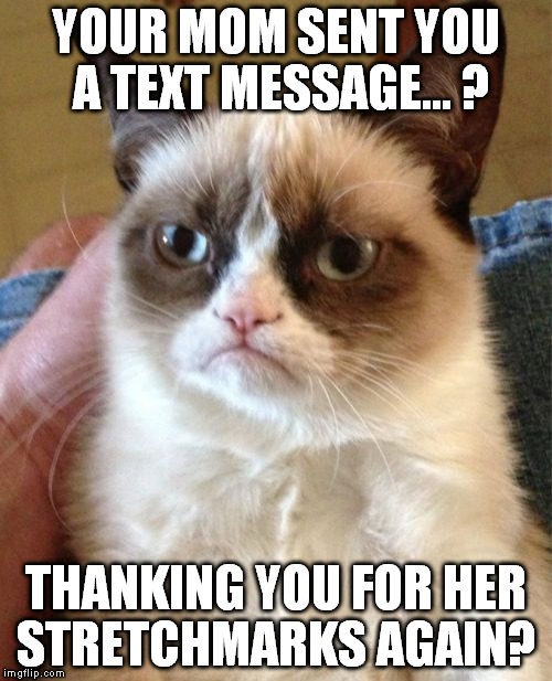 Said no mother ever!  | YOUR MOM SENT YOU A TEXT MESSAGE... ? THANKING YOU FOR HER STRETCHMARKS AGAIN? | image tagged in memes,grumpy cat | made w/ Imgflip meme maker