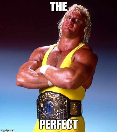 The Perfect | THE; PERFECT | image tagged in wwe | made w/ Imgflip meme maker