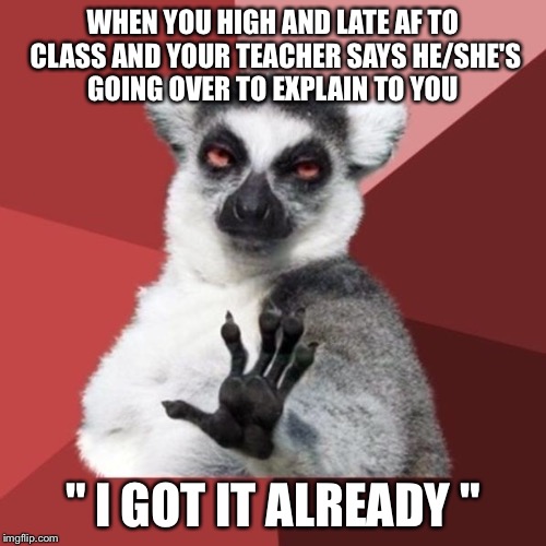 Chill Out Lemur Meme | WHEN YOU HIGH AND LATE AF TO CLASS AND YOUR TEACHER SAYS HE/SHE'S GOING OVER TO EXPLAIN TO YOU; " I GOT IT ALREADY " | image tagged in memes,chill out lemur,high af | made w/ Imgflip meme maker