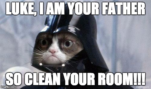 Grumpy Cat Star Wars Meme | LUKE, I AM YOUR FATHER; SO CLEAN YOUR ROOM!!! | image tagged in memes,grumpy cat star wars,grumpy cat | made w/ Imgflip meme maker