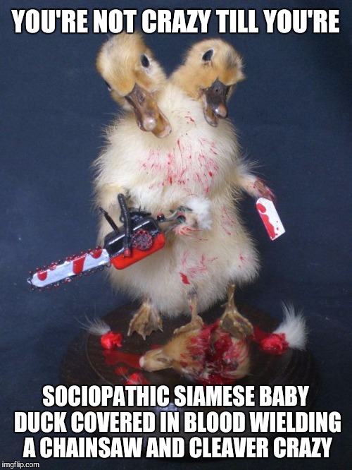 I'm just a little off myself. But some are over achievers | YOU'RE NOT CRAZY TILL YOU'RE; SOCIOPATHIC SIAMESE BABY DUCK COVERED IN BLOOD WIELDING A CHAINSAW AND CLEAVER CRAZY | image tagged in memes,funny,duck,bloody | made w/ Imgflip meme maker