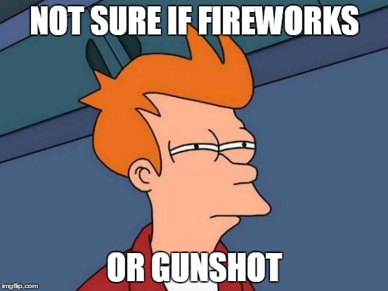 Futurama Fry | NOT SURE IF FIREWORKS; OR GUNSHOT | image tagged in memes,futurama fry | made w/ Imgflip meme maker