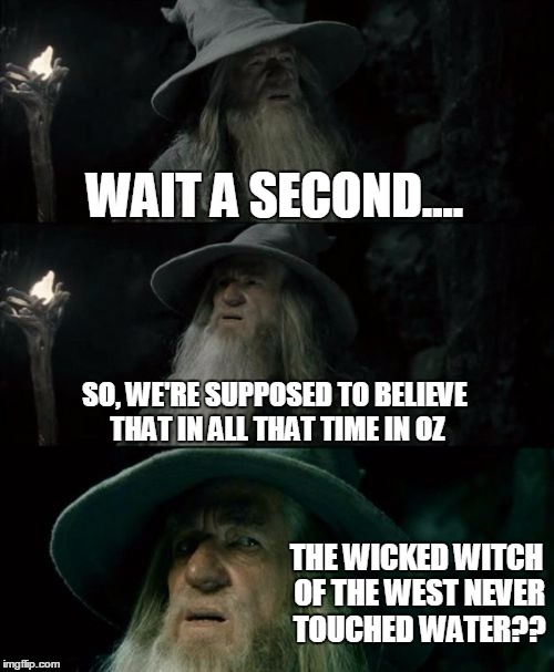 Confused Gandalf Meme | WAIT A SECOND.... SO, WE'RE SUPPOSED TO BELIEVE THAT IN ALL THAT TIME IN OZ; THE WICKED WITCH OF THE WEST NEVER TOUCHED WATER?? | image tagged in memes,confused gandalf | made w/ Imgflip meme maker