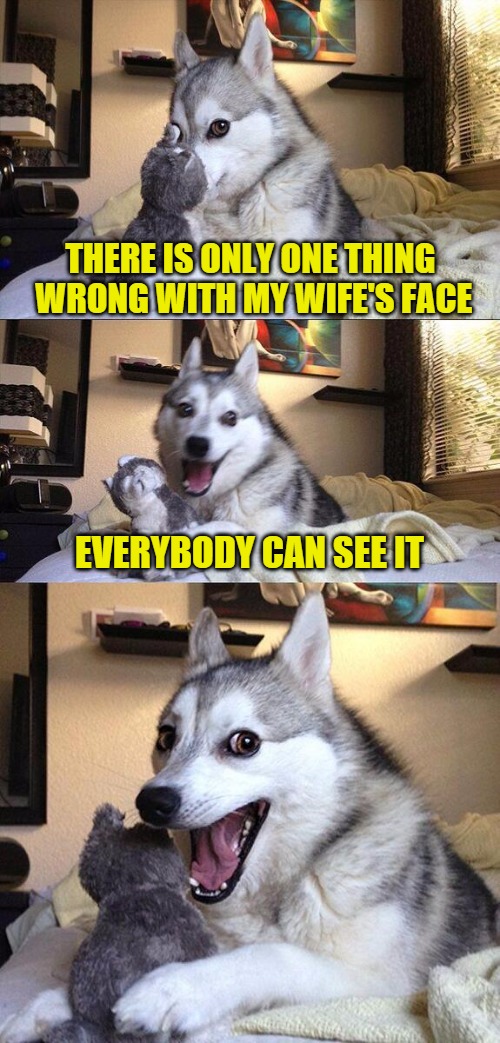 Bad Pun Dog | THERE IS ONLY ONE THING WRONG WITH MY WIFE'S FACE; EVERYBODY CAN SEE IT | image tagged in memes,bad pun dog | made w/ Imgflip meme maker