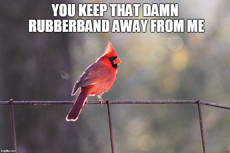 YOU KEEP THAT DAMN RUBBERBAND AWAY FROM ME | made w/ Imgflip meme maker