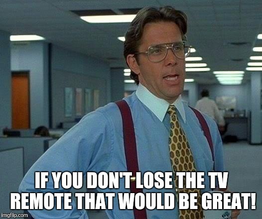 That Would Be Great | IF YOU DON'T LOSE THE TV REMOTE THAT WOULD BE GREAT! | image tagged in memes,that would be great,random,funny | made w/ Imgflip meme maker