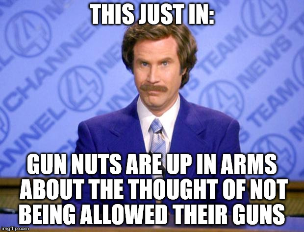 This just in  | THIS JUST IN:; GUN NUTS ARE UP IN ARMS ABOUT THE THOUGHT OF NOT BEING ALLOWED THEIR GUNS | image tagged in this just in | made w/ Imgflip meme maker