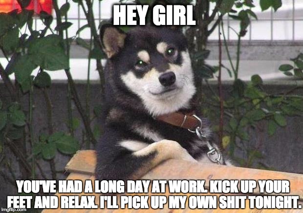 Cool dog | HEY GIRL; YOU'VE HAD A LONG DAY AT WORK. KICK UP YOUR FEET AND RELAX. I'LL PICK UP MY OWN SHIT TONIGHT. | image tagged in cool dog | made w/ Imgflip meme maker