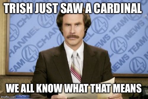 Ron Burgundy | TRISH JUST SAW A CARDINAL; WE ALL KNOW WHAT THAT MEANS | image tagged in memes,ron burgundy | made w/ Imgflip meme maker